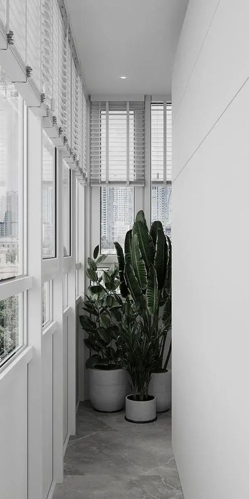 居家窗飾遮陽如何選擇