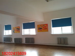 沈陽(yáng)旺誠(chéng)窗飾 電動(dòng)卷簾，智能生活，品質(zhì)之選